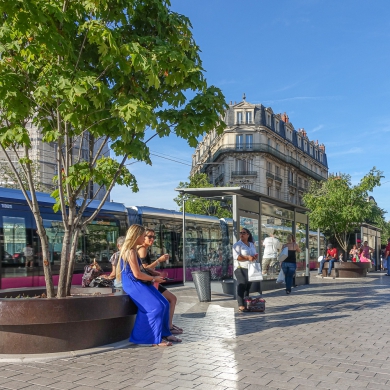 Giant Flowerpots in Dijon