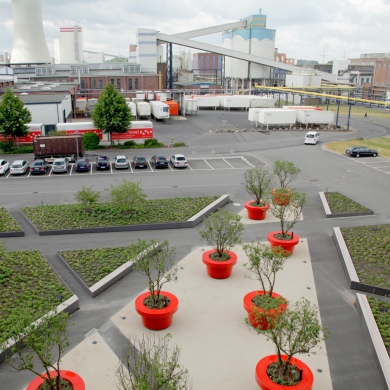 Giant Flowerpots